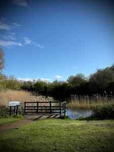 Lodge Lake