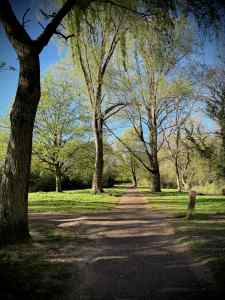 Redway through North Loughton Valley Park