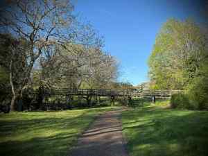 Redway and wooden bridge in Loughton Valley Park