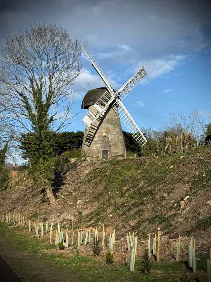 Bradwell Windmill