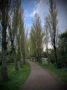 Tree-lined Redway next to the Grand Union Canal