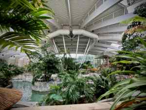 Inside the Subtropical Swimming Paradise