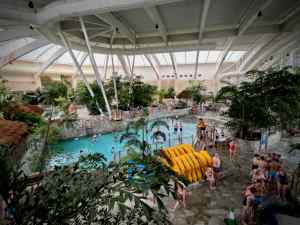 Inside the Subtropical Swimming Paradise