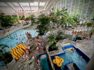 Inside the Subtropical Swimming Paradise
