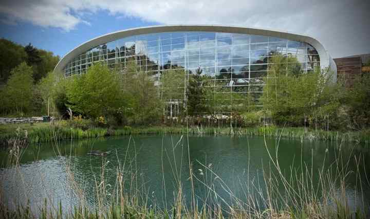 The Subtropical Swimming Paradise
