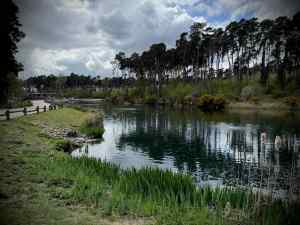 The Boating Lake