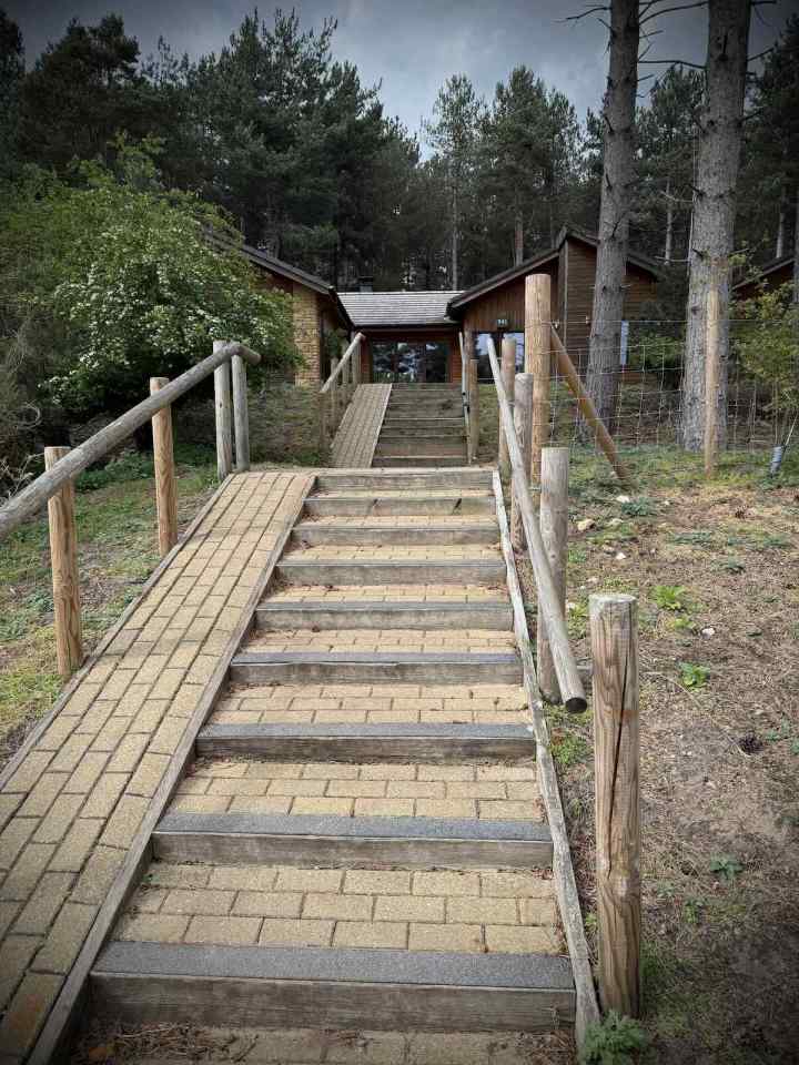 Steps up to our lodge, with a ramp for bikes