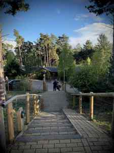 Looking down the steps from our lodge