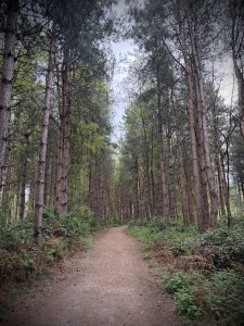 On Katherine's Walk, just outside Center Parcs