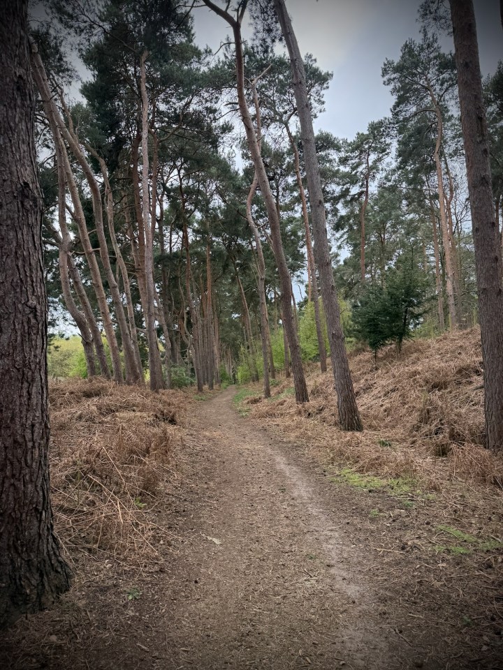 On Katherine's Walk, just outside Center Parcs