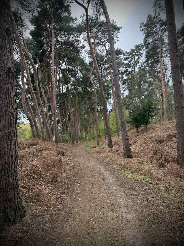 Riding the trails outside of Center Parcs Woburn Forest