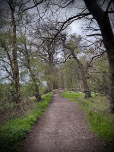 Katherine's Walk path through the woods