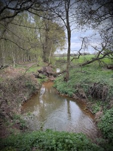 Water running parallel to Katherine's Walk