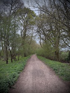 Path towards Cobbler's Lane
