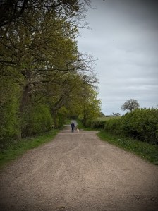 Dog walker near Rectory Road