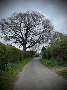 Rectory Road