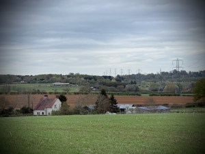 Pylons going across the fields and trees