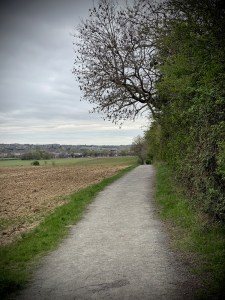 Path next to a farmer's field