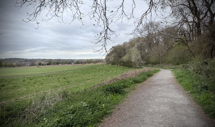 On the path next to the woods