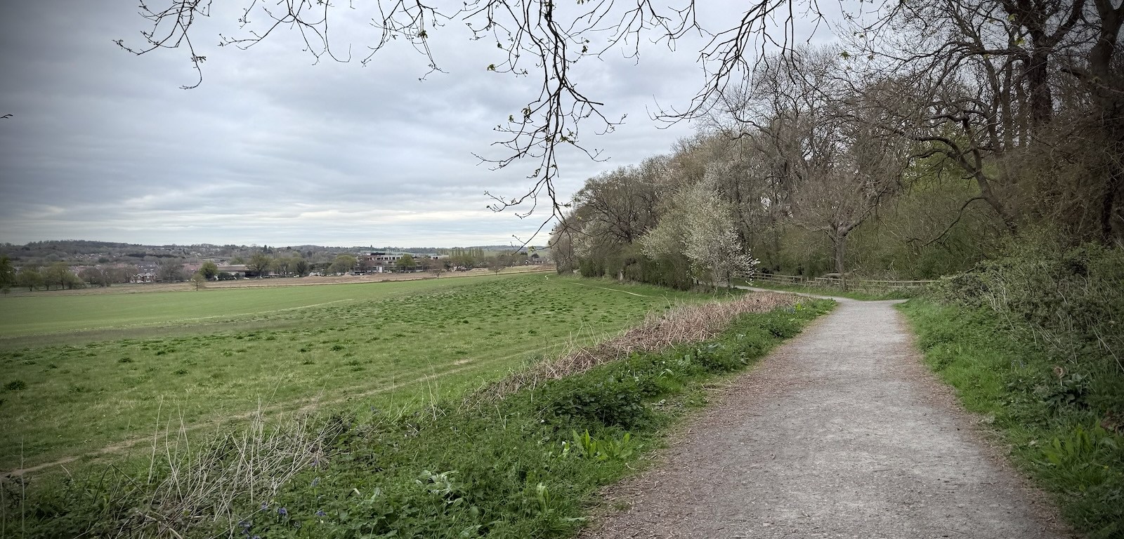 On the path next to the woods