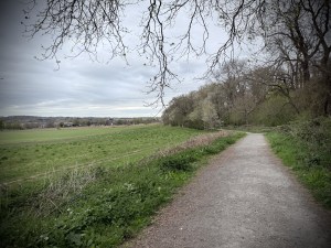 On the path next to the woods