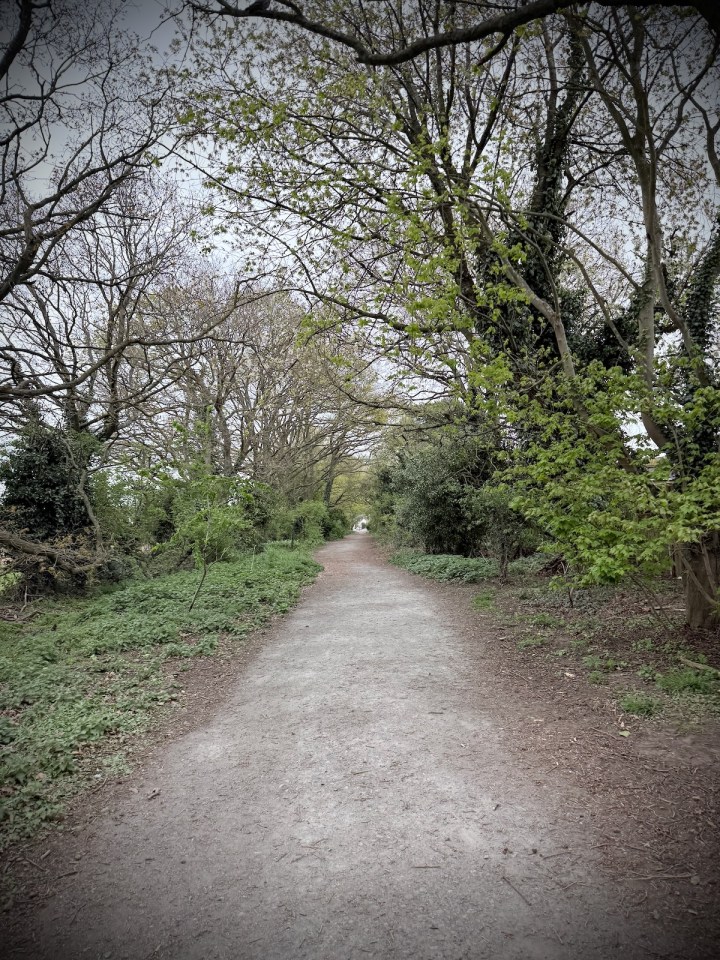 On the path to Flitwick