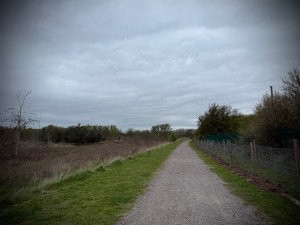 Path towards Froghall Wood, parallel to the railway