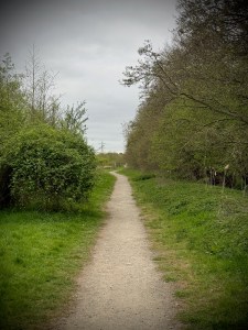Path at the top of Froghall Wood