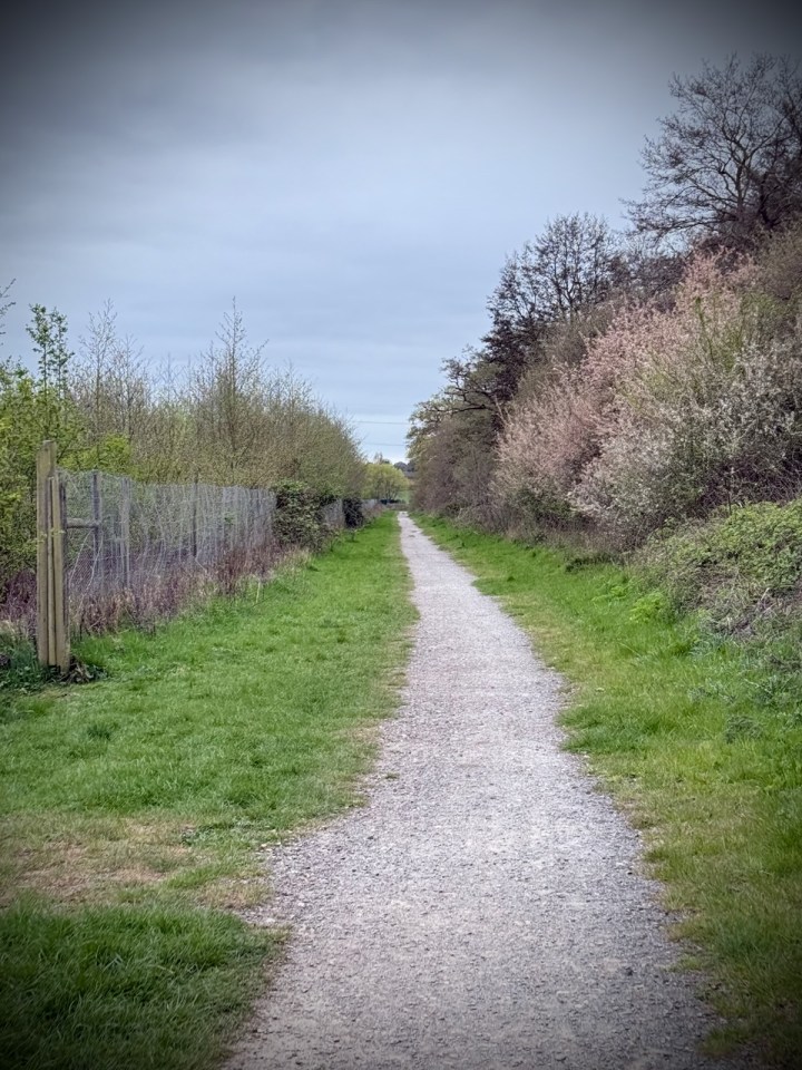 Path at the top of Froghall Wood