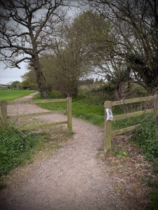 Chicane on the path
