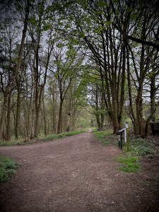 Back on Katherine's Walk