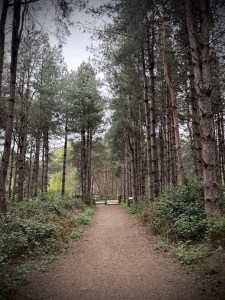 Approaching the entrance road to Center Parcs