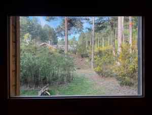 View from the sauna