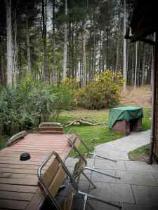 View from the back of our lodge