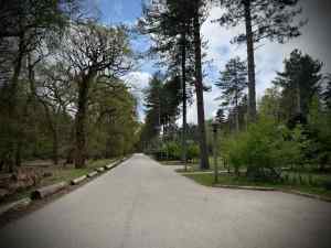 View along one of the paths