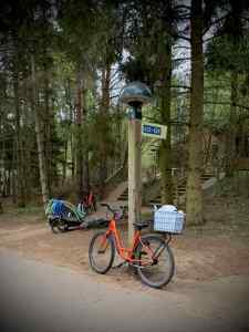 Cleaning staff bikes