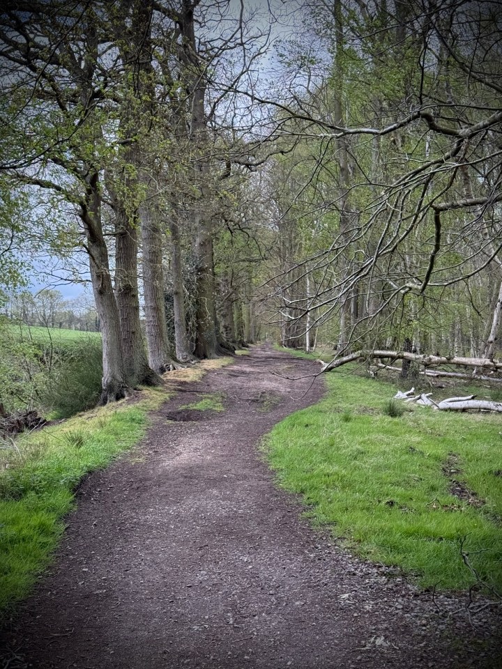 On the path next to Center Parcs