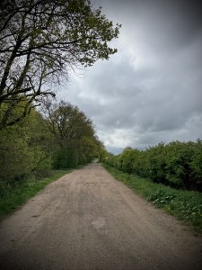 On the path on Rectory Road