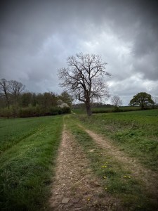 Path across Wakes End Farm