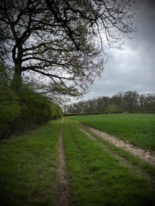 Path across Wakes End Farm