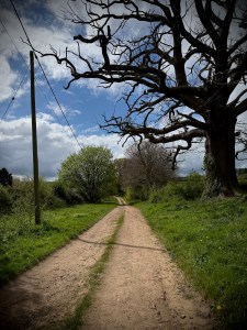 Path towards the C100