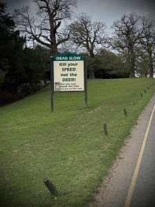 Sign advising people to "Kill your SPEED, not the DEER!" due to the number of deer killed