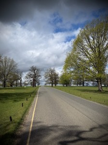 Road through Woburn Abbey Deer Park