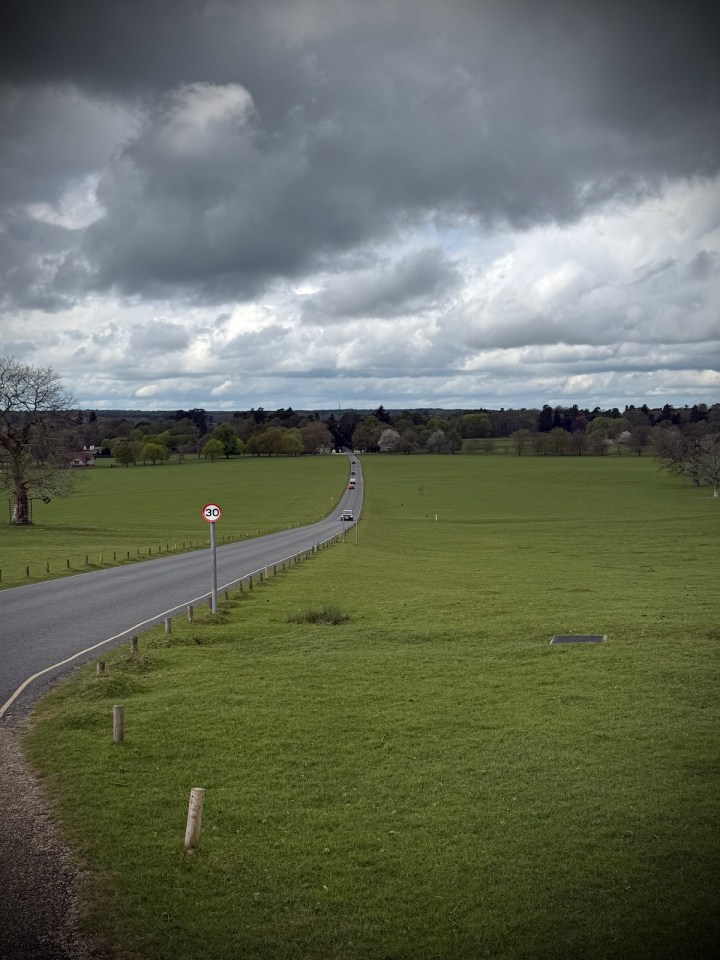 Road through Woburn Abbey Deer Park
