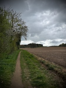 Path off Woburn Road, towards ruins