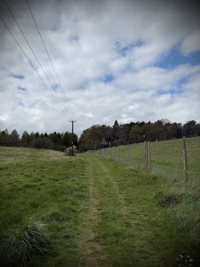 Path towards Aspley Woods