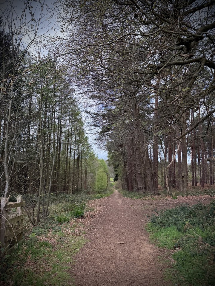 Aspley Woods