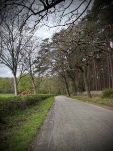 Longslade Lane