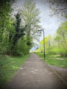 Redway next to H10 Bletcham Way